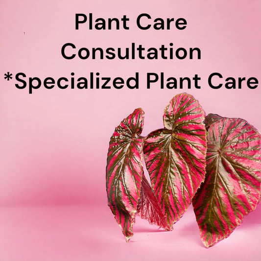 Plant Care Consultation - Specialized
